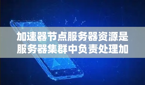 加速器节点服务器资源是服务器集群中负责处理加速器节点的服务器，确保加速器节点能够高效地处理请求和任务。以下是对加速器节点服务器资源的详细信息