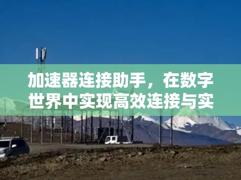 加速器连接助手，在数字世界中实现高效连接与实时共享