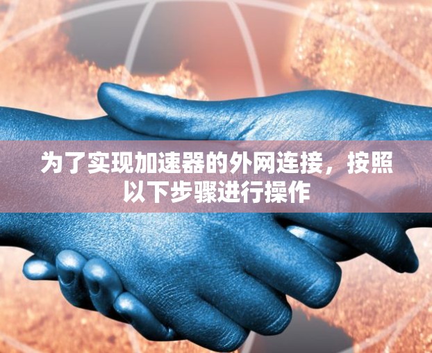 为了实现加速器的外网连接，按照以下步骤进行操作