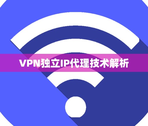 VPN独立IP代理技术解析