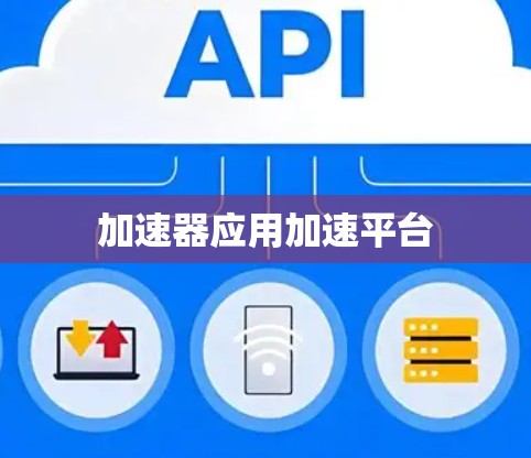 加速器应用加速平台