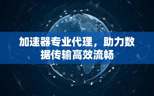 加速器专业代理，助力数据传输高效流畅