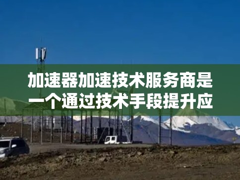 加速器加速技术服务商是一个通过技术手段提升应用性能的公司，主要分为软件加速器和硬件加速器等类型。以下是对其工作的详细总结