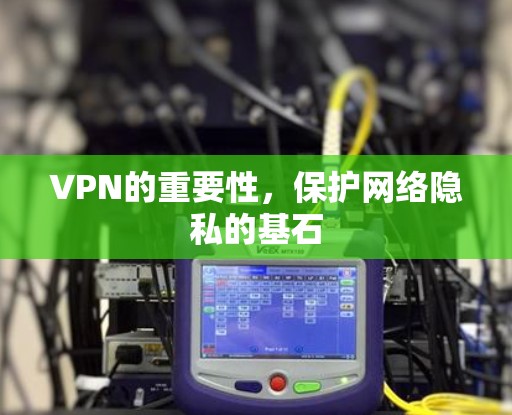 VPN的重要性，保护网络隐私的基石