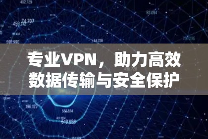 专业VPN，助力高效数据传输与安全保护