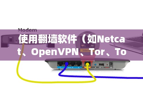 使用翻墙软件（如Netcat、OpenVPN、Tor、Tosca）可以帮助您安全访问互联网，无需通过防火墙。以下是一步步的指南，确保您能够安全地使用翻墙软件