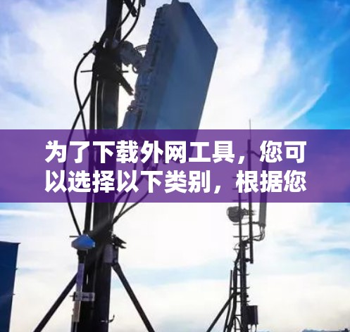 为了下载外网工具，您可以选择以下类别，根据您的需求进行选择