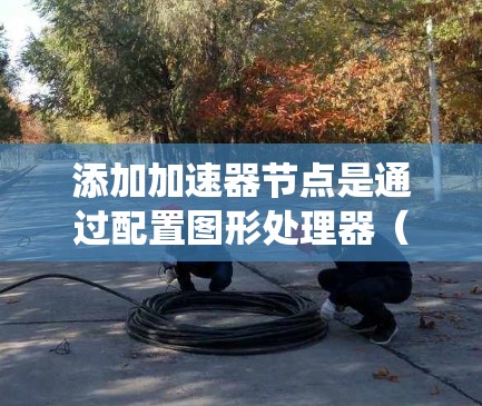 添加加速器节点是通过配置图形处理器（GPU）来加速其他程序运行的技术。以下是一个简单且系统化的步骤指南，帮助您成功添加加速器节点