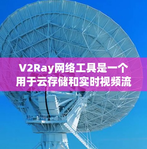 V2Ray网络工具是一个用于云存储和实时视频流处理的工具，主要功能包括创建和管理服务器、存储视频流、监控流状态以及设置流参数。为了学习和使用V2Ray工具，可以按照以下步骤进行