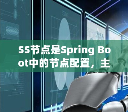 SS节点是Spring Boot中的节点配置，主要用于管理JVM环境，确保应用能够高效运行。以下是SS节点配置的关键步骤和内容，按照清晰的结构进行解释