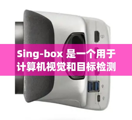 Sing-box 是一个用于计算机视觉和目标检测的任务管理工具，提供多种节点和功能，支持多任务学习、实时监控、文档管理等。以下是对Sing-box的详细介绍