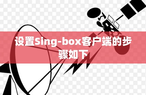 设置Sing-box客户端的步骤如下