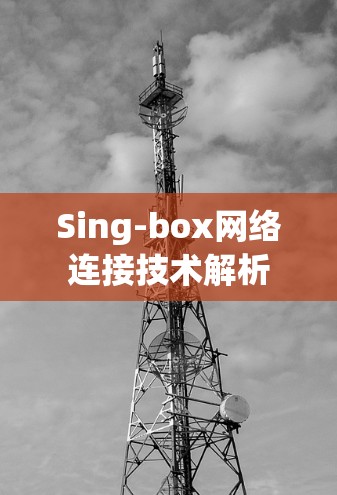 Sing-box网络连接技术解析