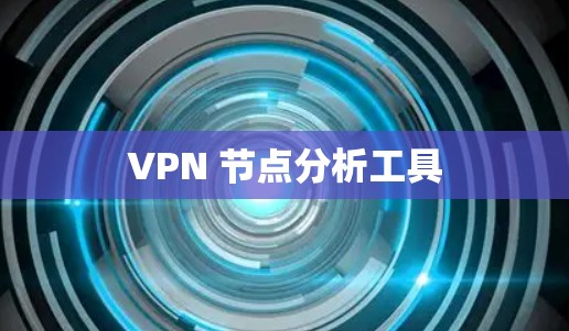 VPN 节点分析工具