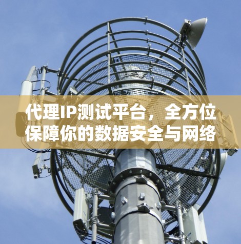 代理IP测试平台，全方位保障你的数据安全与网络稳定性