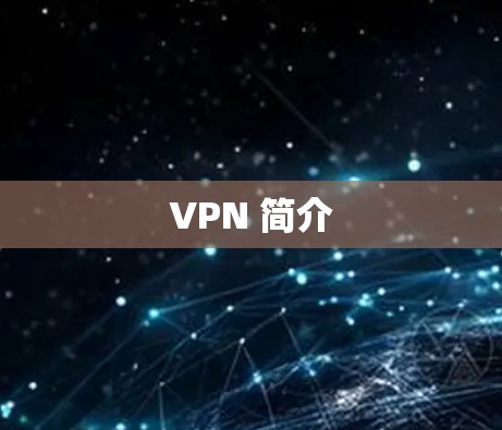 VPN 简介