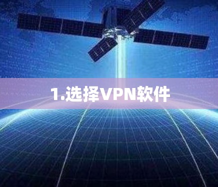 1.选择VPN软件