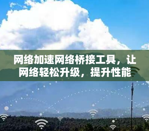 网络加速网络桥接工具，让网络轻松升级，提升性能