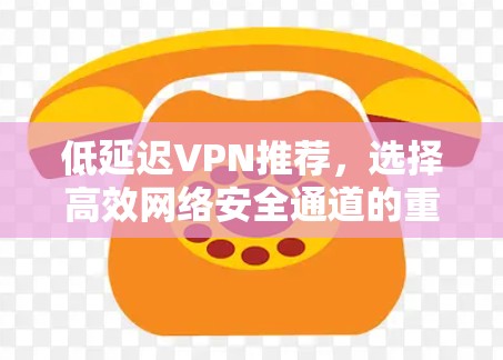低延迟VPN推荐，选择高效网络安全通道的重要性