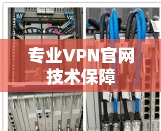 专业VPN官网技术保障