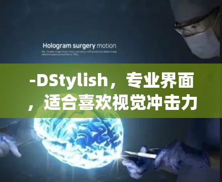 -DStylish，专业界面，适合喜欢视觉冲击力和专业隐私服务的用户