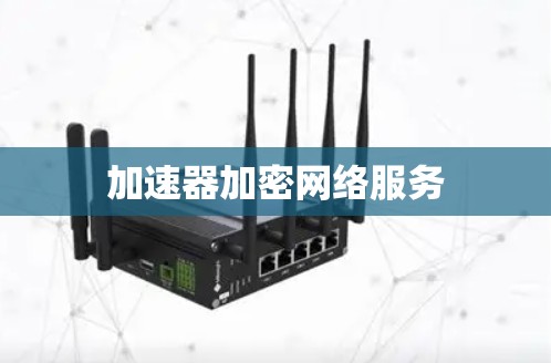 加速器加密网络服务