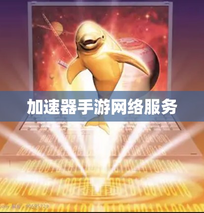 加速器手游网络服务