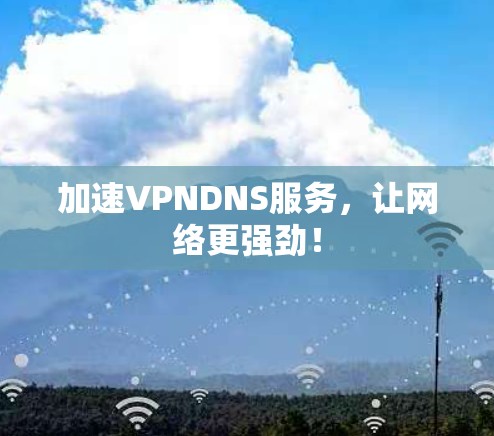加速VPNDNS服务，让网络更强劲！