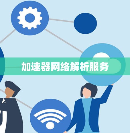 加速器网络解析服务