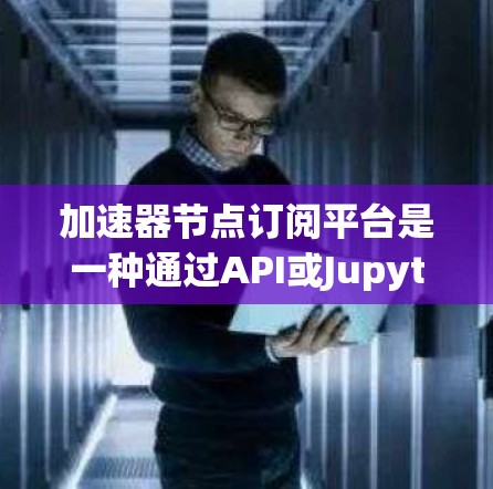 加速器节点订阅平台是一种通过API或Jupyter Notebook连接到加速器节点进行数据处理的解决方案，旨在提供灵活的计算环境。以下是对该平台的详细总结