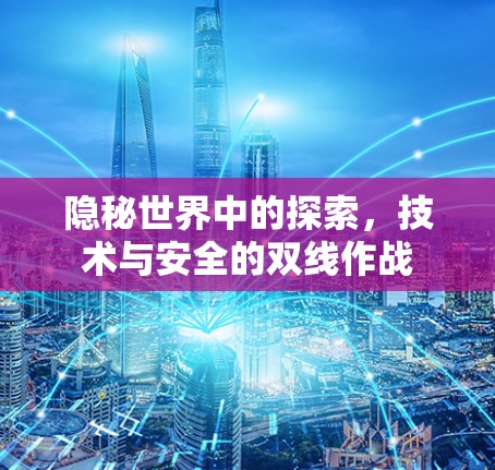 隐秘世界中的探索，技术与安全的双线作战